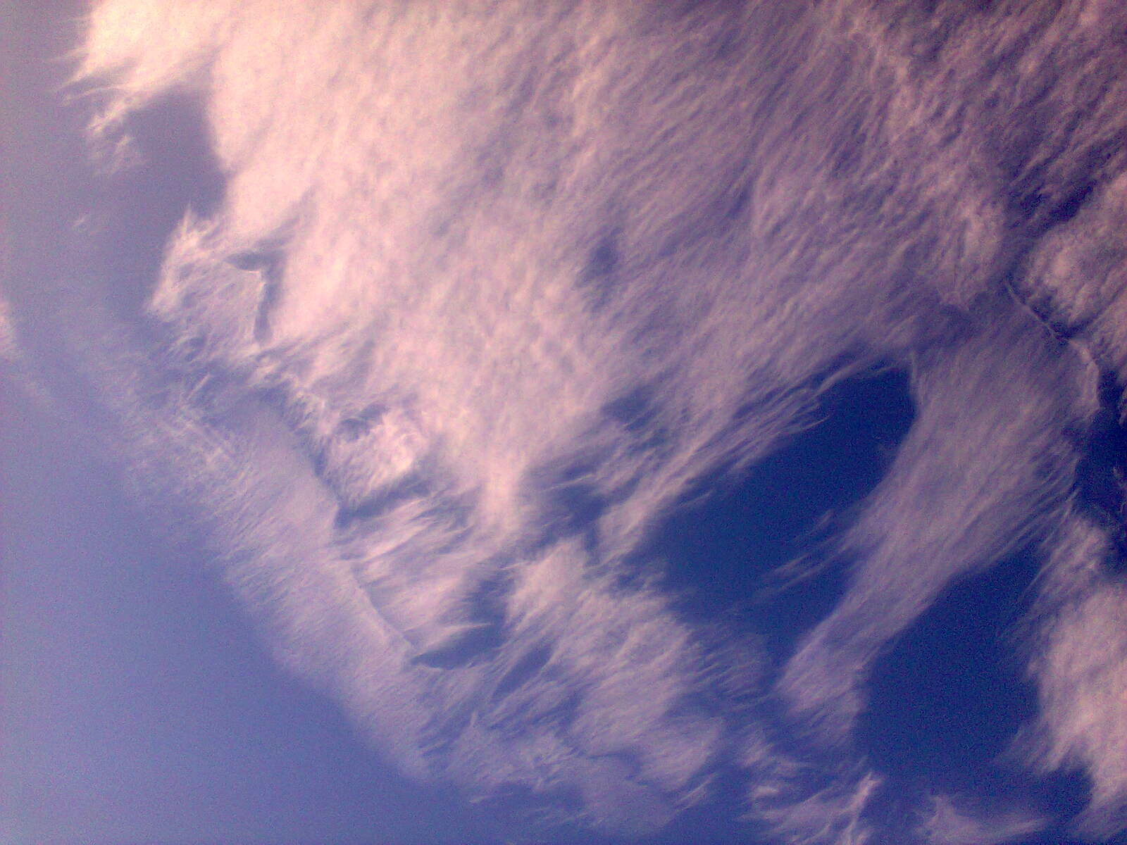 gossamer1