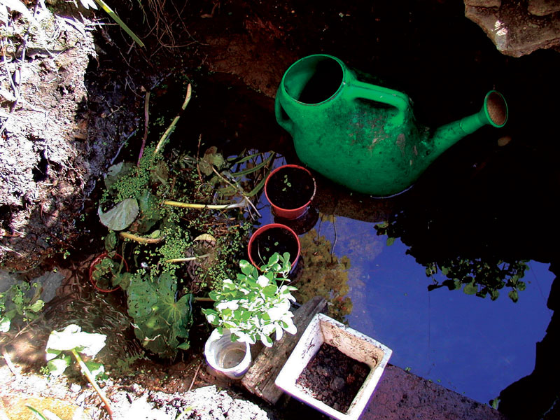 reflect bucket