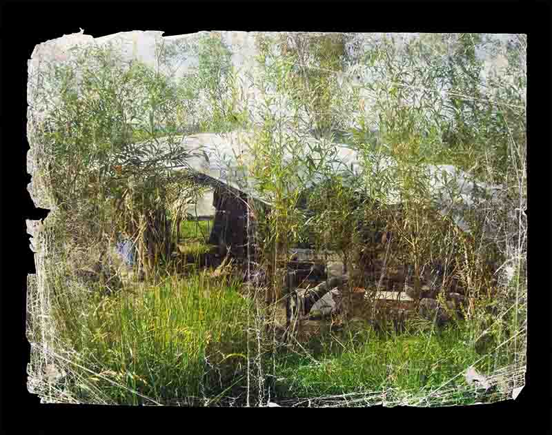 cabane-serre de transformation en osier vivant 8m diamètre